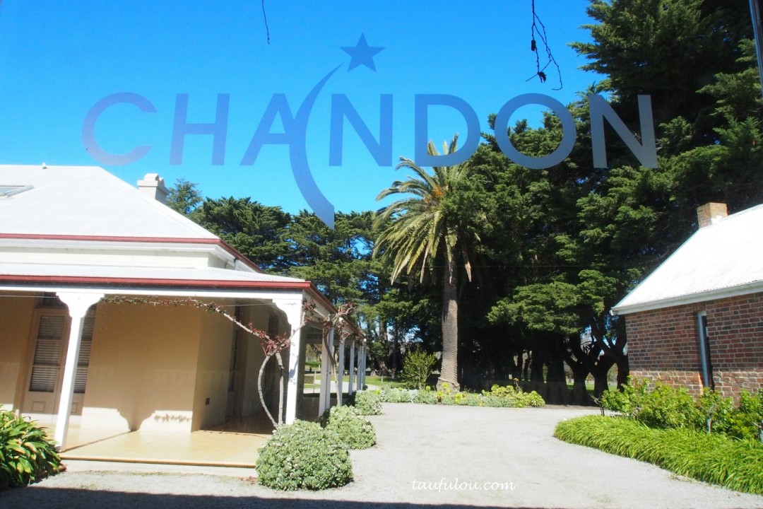 Domaine Chandon @ Yarra Valley, Melbourne - I Come, I See, I Hunt and I